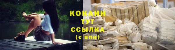 МДПВ Вязьма