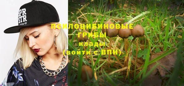 молекула духа Волосово