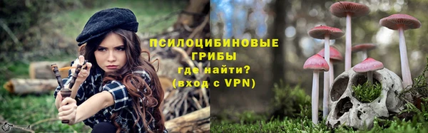молекула духа Волосово